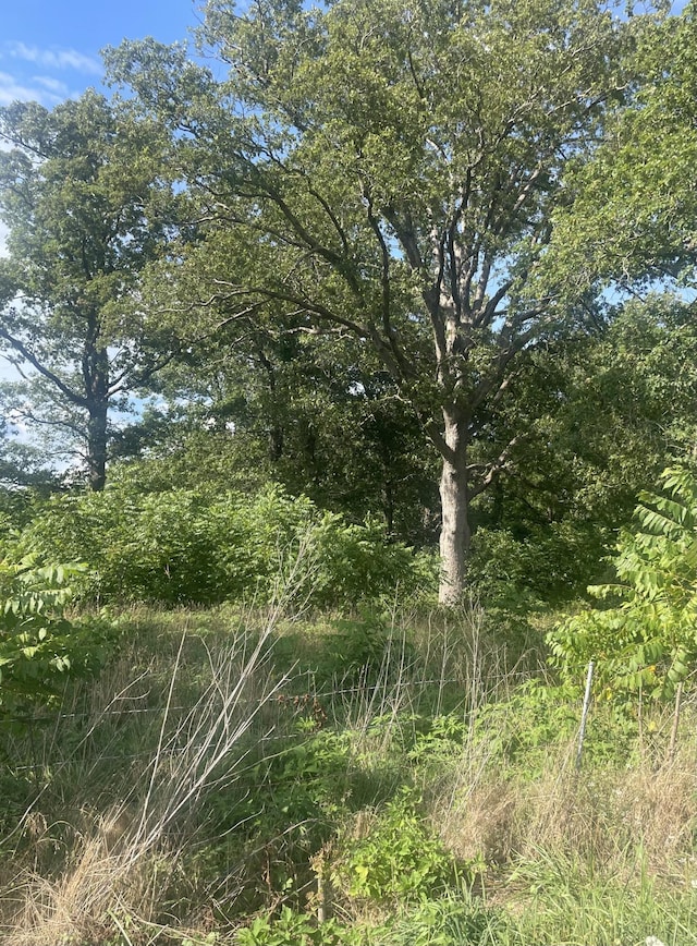 000 Farm Rd Unit 2015, Aurora, MO 65605 - photo 5