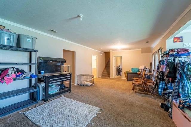 4511 W University St, Springfield, MO 65802 - photo 12