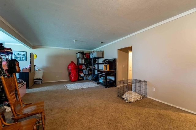 4511 W University St, Springfield, MO 65802 - photo 13