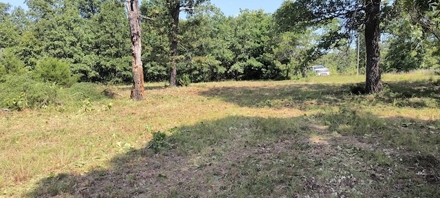 17 Timber Cir, Tunas, MO 65764 - photo 2