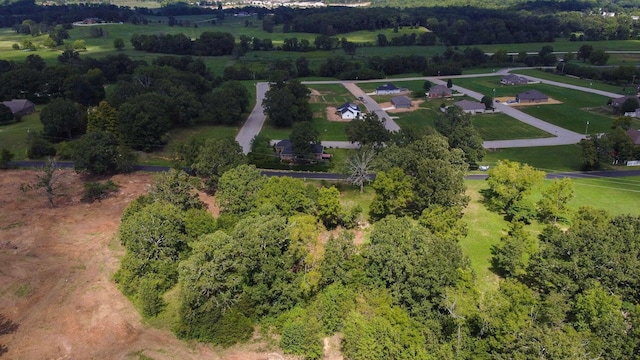 000 County Road 4100, West Plains, MO 65775 - photo 4