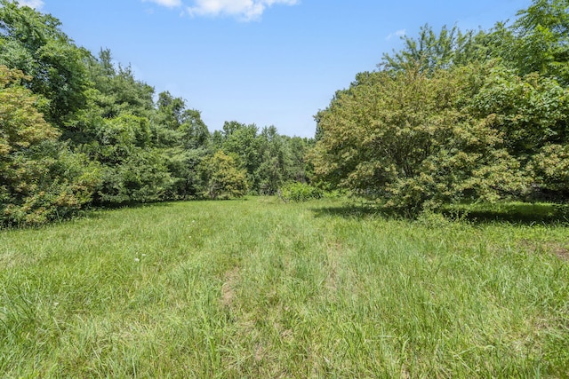 6407 N 25th St, Ozark, MO 65721 - photo 36