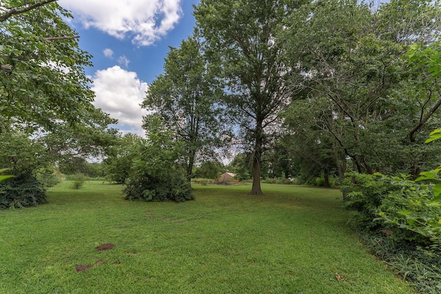 908 A St, Golden City, MO 64748 - photo 45