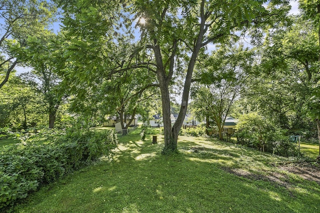 1068 S Broadway Ave, Springfield, MO 65807 - photo 20