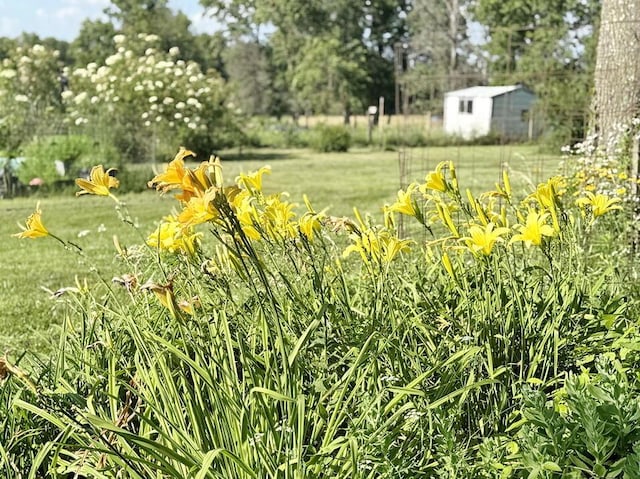 3225 E 1074th Rd, El Dorado Springs, MO 64744 - photo 35