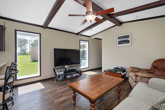 3100 Wallaby Rd, Wentworth, MO 64873 - photo 72