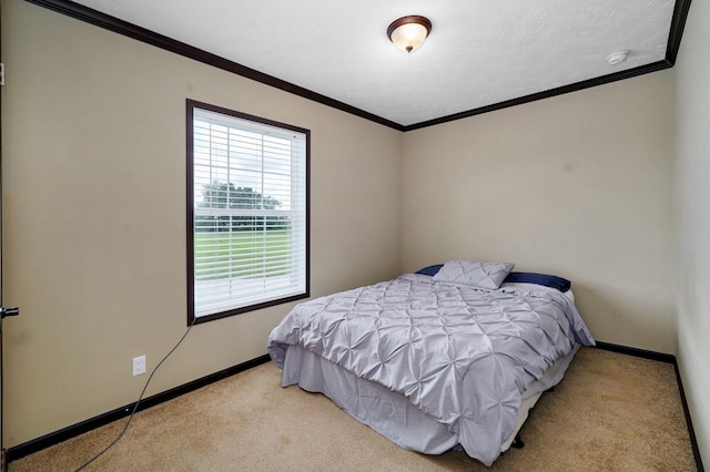 3100 Wallaby Rd, Wentworth, MO 64873 - photo 80