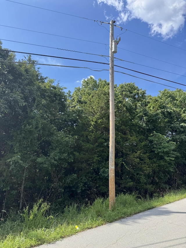 000 Double O Nine Rd, Reeds Spring, MO 65737 - photo 13
