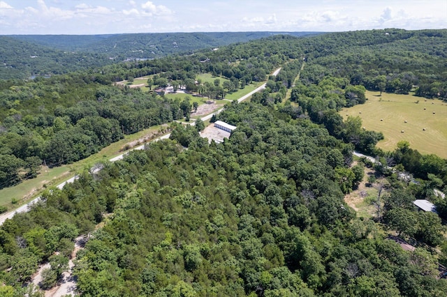 000 Double O Nine Rd, Reeds Spring, MO 65737 - photo 6