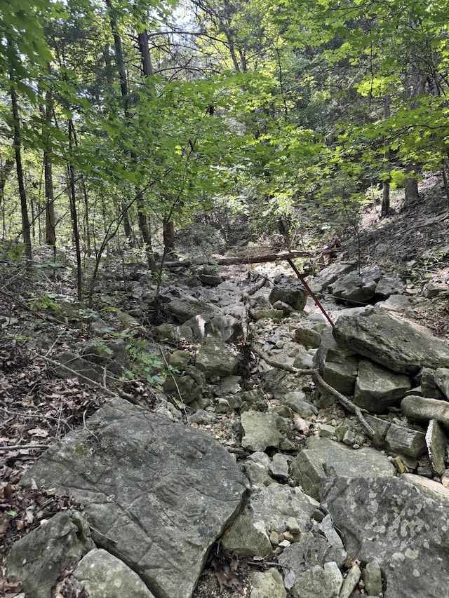 000 Double O Nine Rd, Reeds Spring, MO 65737 - photo 22