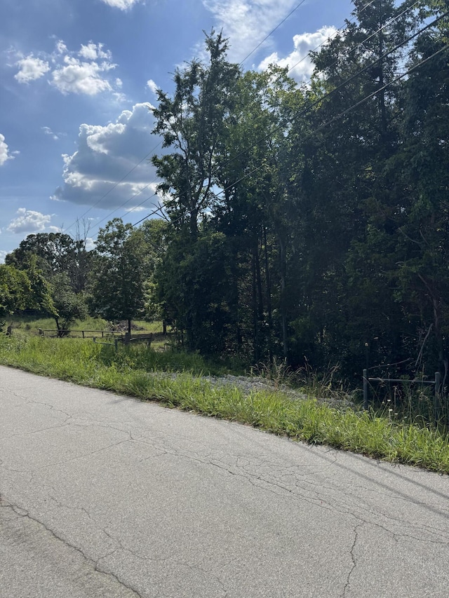 000 Double O Nine Rd, Reeds Spring, MO 65737 - photo 12