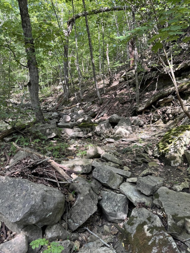 000 Double O Nine Rd, Reeds Spring, MO 65737 - photo 21