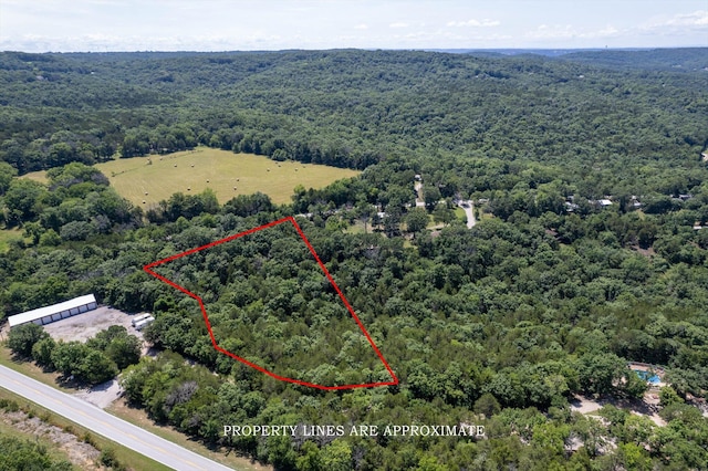 000 Double O Nine Rd, Reeds Spring, MO 65737 - photo 2