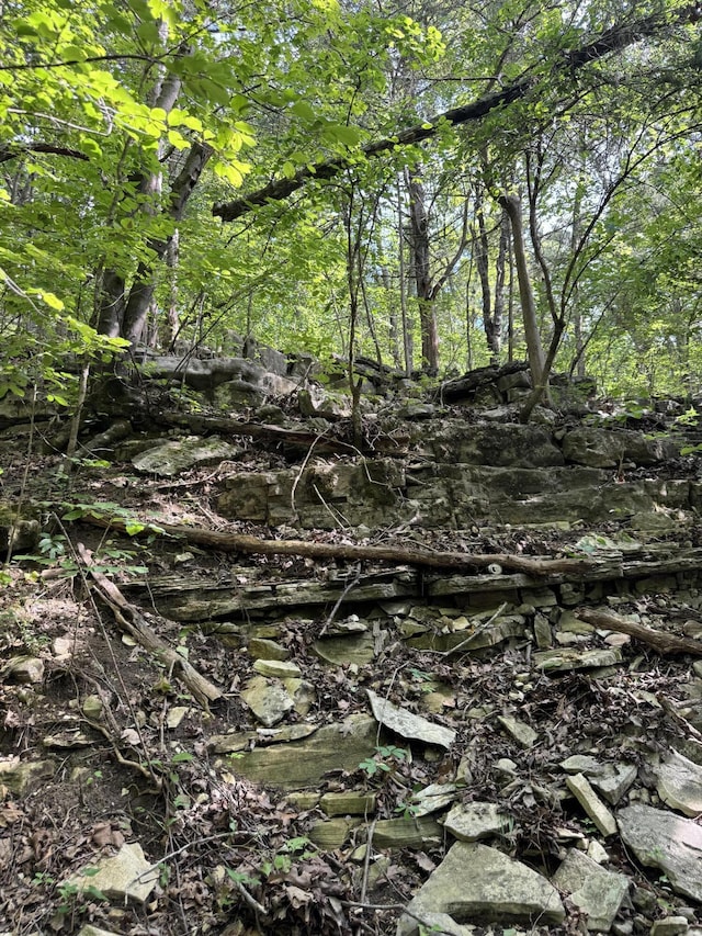 000 Double O Nine Rd, Reeds Spring, MO 65737 - photo 23