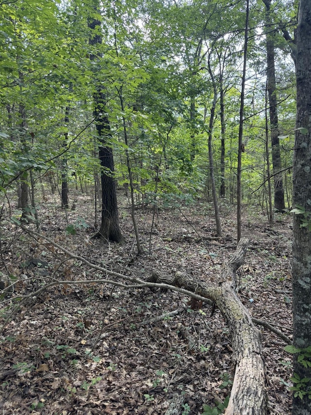 000 Double O Nine Rd, Reeds Spring, MO 65737 - photo 17