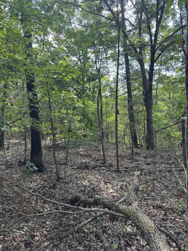 000 Double O Nine Rd, Reeds Spring, MO 65737 - photo 18