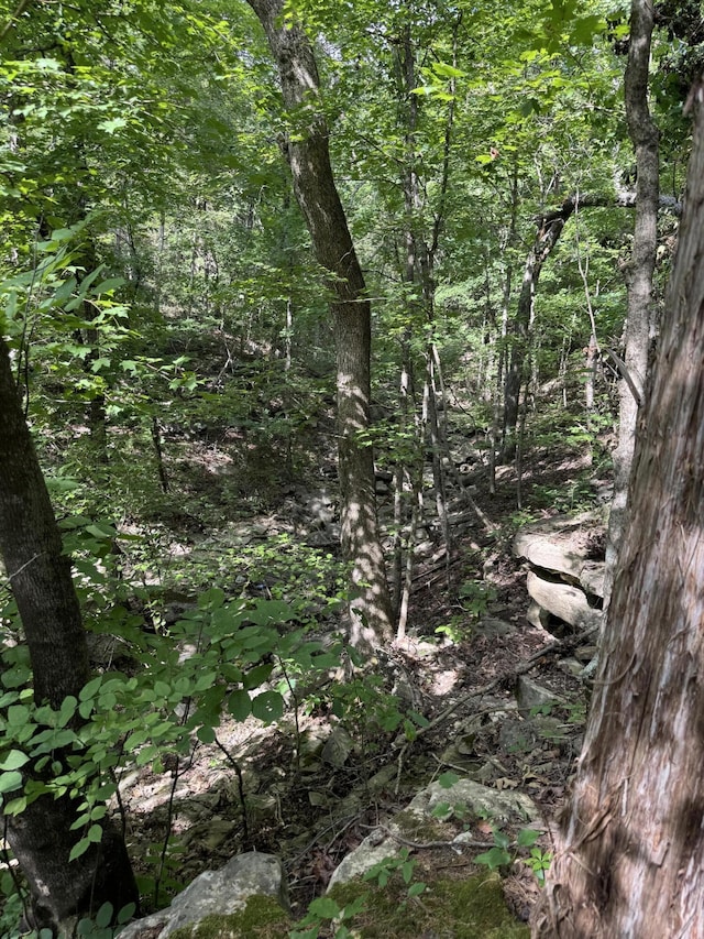 000 Double O Nine Rd, Reeds Spring, MO 65737 - photo 20