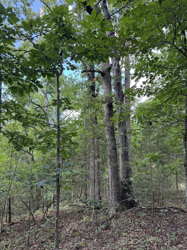 000 Double O Nine Rd, Reeds Spring, MO 65737 - photo 15