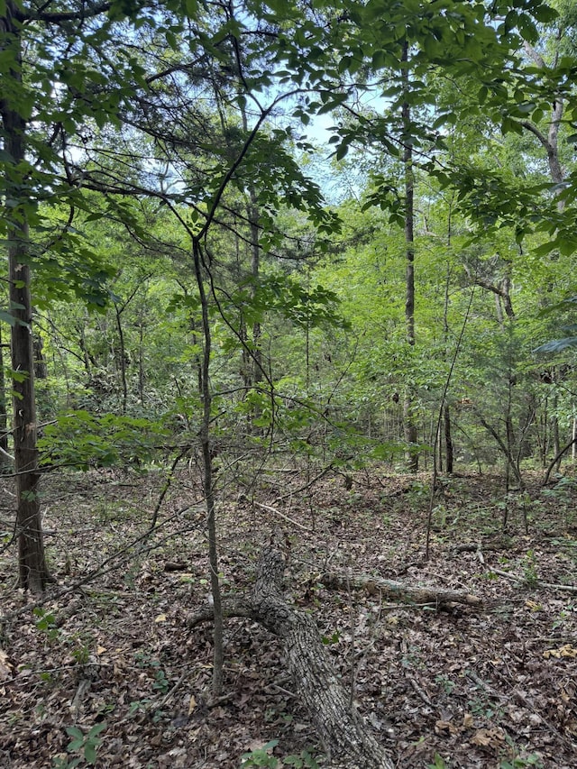 000 Double O Nine Rd, Reeds Spring, MO 65737 - photo 16