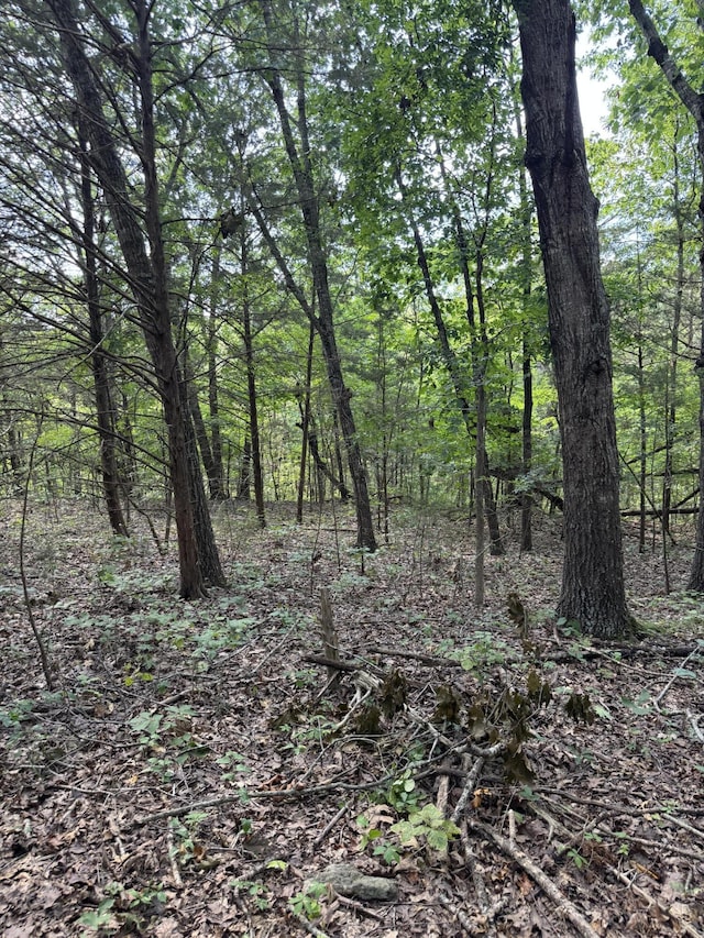000 Double O Nine Rd, Reeds Spring, MO 65737 - photo 26
