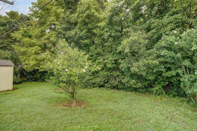 956 S Greentree Ave, Springfield, MO 65809 - photo 40