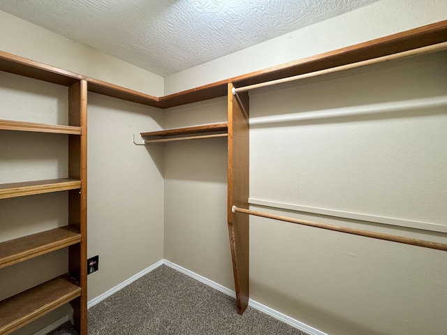 956 S Greentree Ave, Springfield, MO 65809 - photo 20