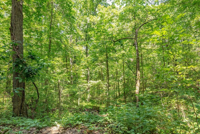 TBD40 Ravenwood Way, Ridgedale, MO 65739 - photo 4