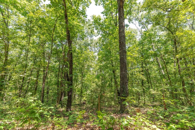 TBD40 Ravenwood Way, Ridgedale, MO 65739 - photo 3