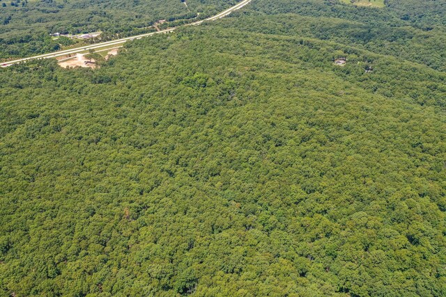 TBD40 Ravenwood Way, Ridgedale, MO 65739 - photo 14