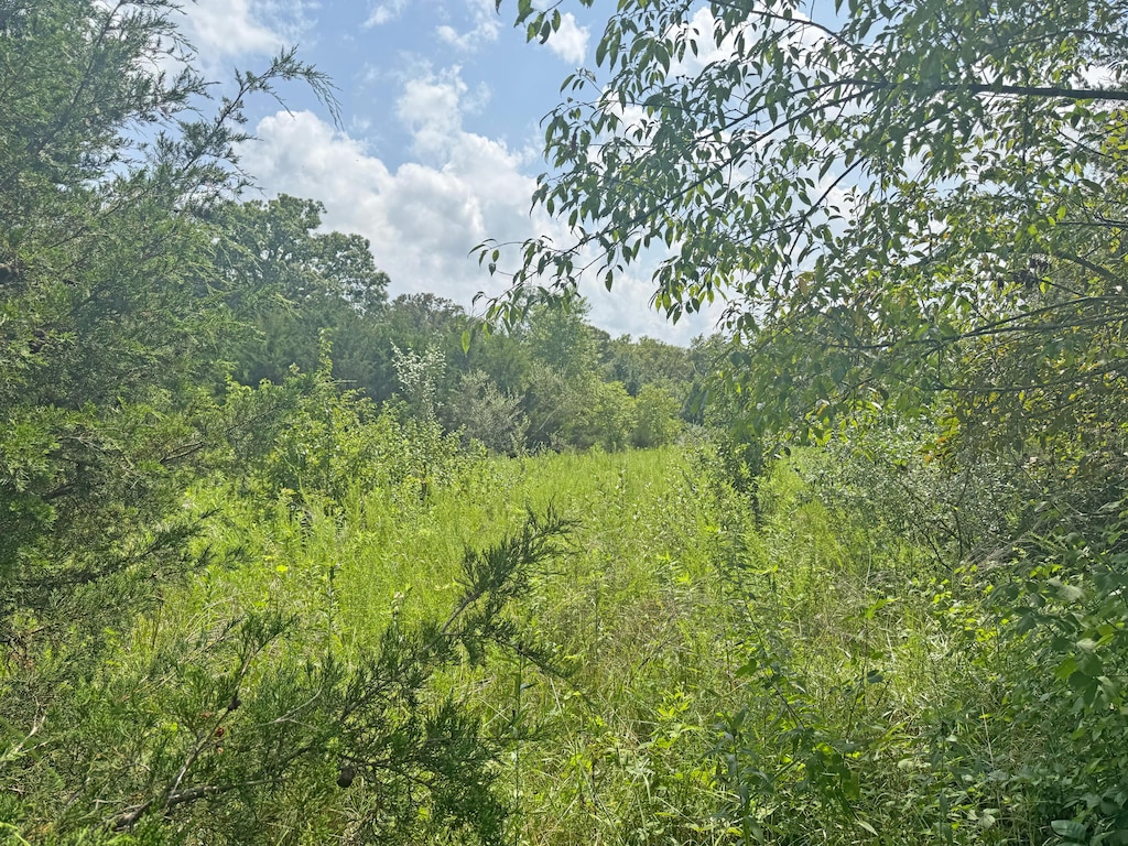 000 Lay Rd, Houston, MO 65483 - photo 4