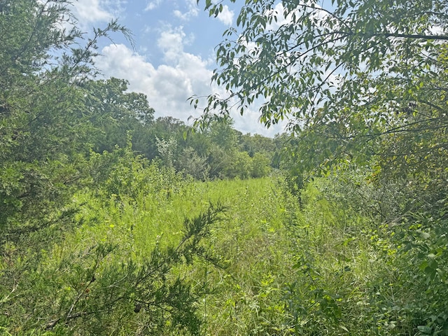 000 Lay Rd, Houston, MO 65483 - photo 4