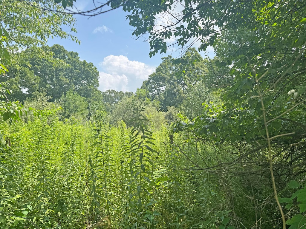 000 Lay Rd, Houston, MO 65483 - photo 3