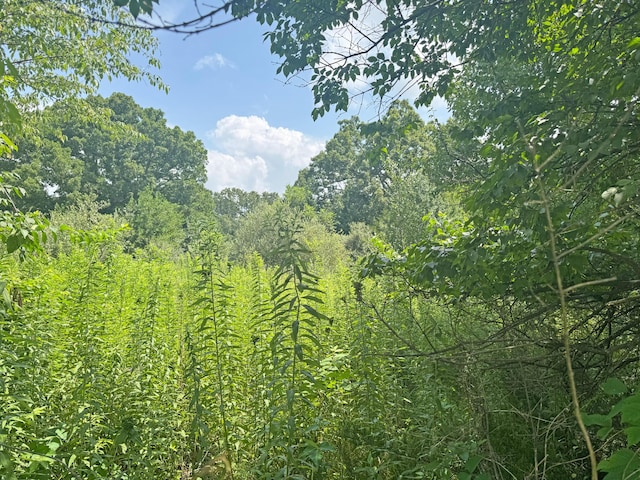 000 Lay Rd, Houston, MO 65483 - photo 3