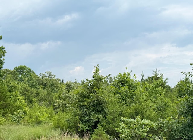 17320 Solo Rd, Houston, MO 65483 - photo 1