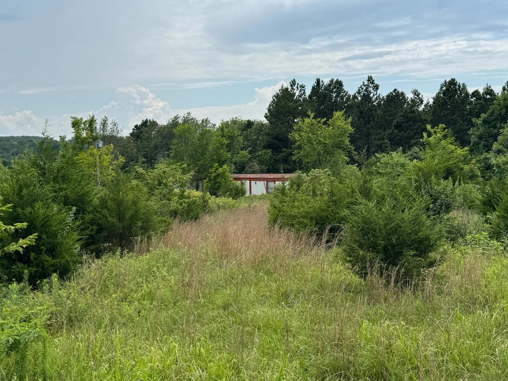 17320 Solo Rd, Houston, MO 65483 - photo 4