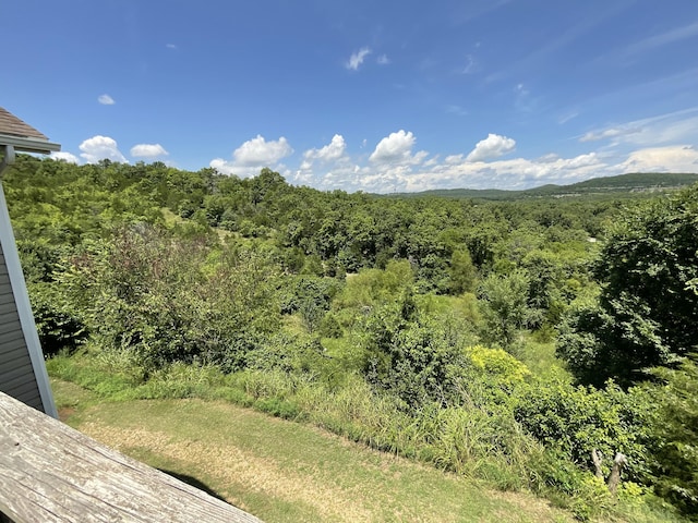 2954 Vineyards Pkwy Unit 6, Branson, MO 65616 - photo 24