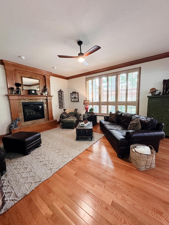 5628 S Fremont Ave, Springfield, MO 65804 - photo 17