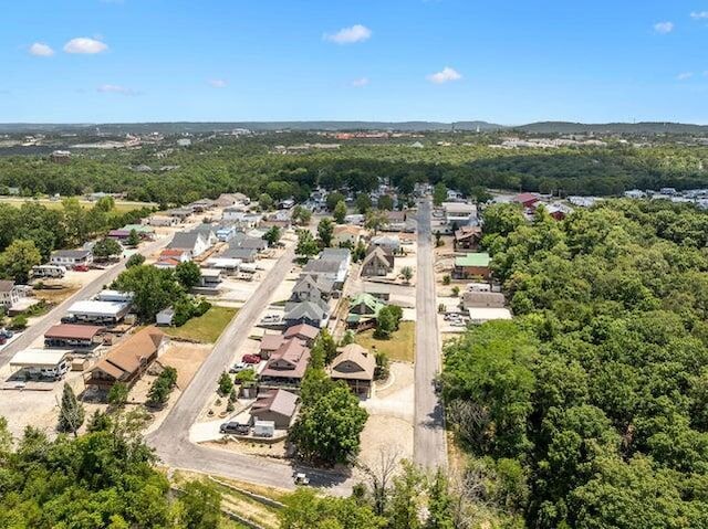 214 N Rainbow Dr, Branson, MO 65616 - photo 1