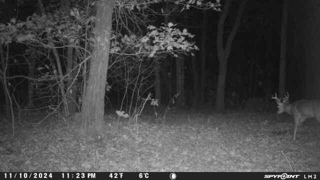 000 Wilderness Way, Anderson, MO 64831 - photo 18