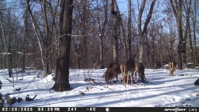 000 Wilderness Way, Anderson, MO 64831 - photo 20
