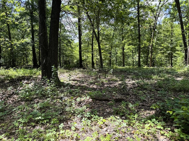 000 Wilderness Way, Anderson, MO 64831 - photo 23