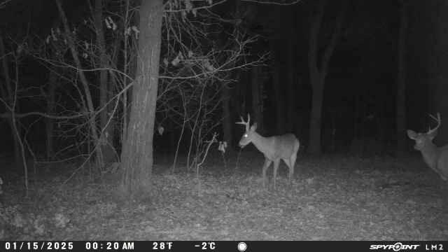 000 Wilderness Way, Anderson, MO 64831 - photo 17
