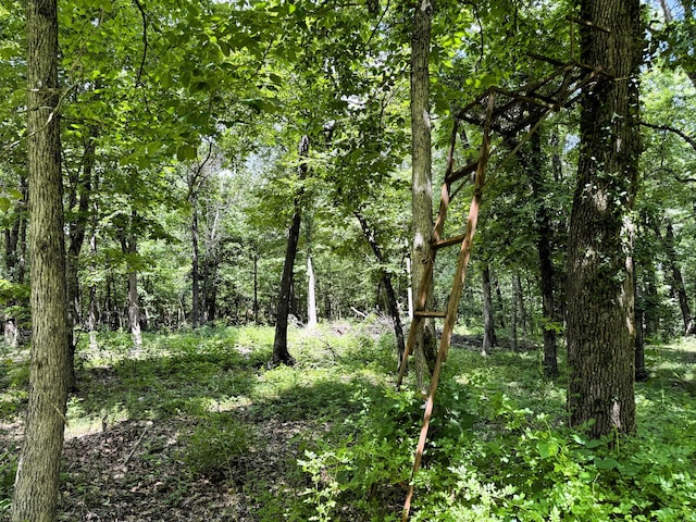 000 Wilderness Way, Anderson, MO 64831 - photo 16