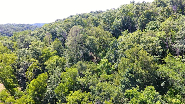 000 Wilderness Way, Anderson, MO 64831 - photo 10