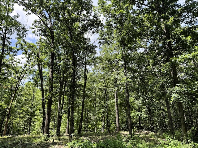 000 Wilderness Way, Anderson, MO 64831 - photo 22