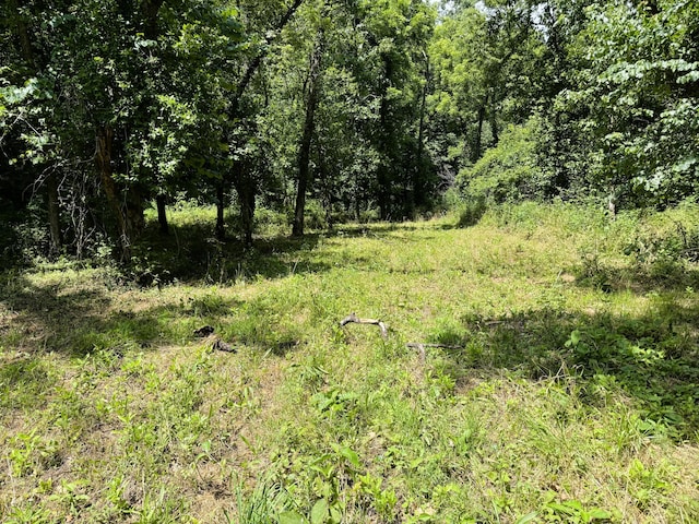 000 Wilderness Way, Anderson, MO 64831 - photo 7