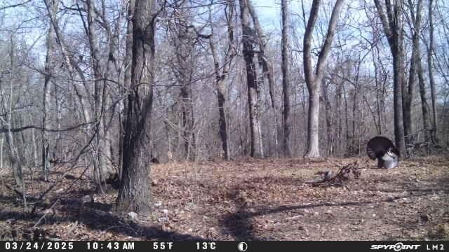 000 Wilderness Way, Anderson, MO 64831 - photo 19