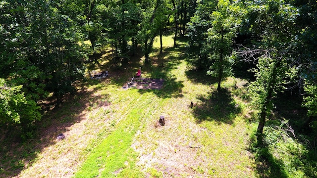 000 Wilderness Way, Anderson, MO 64831 - photo 1