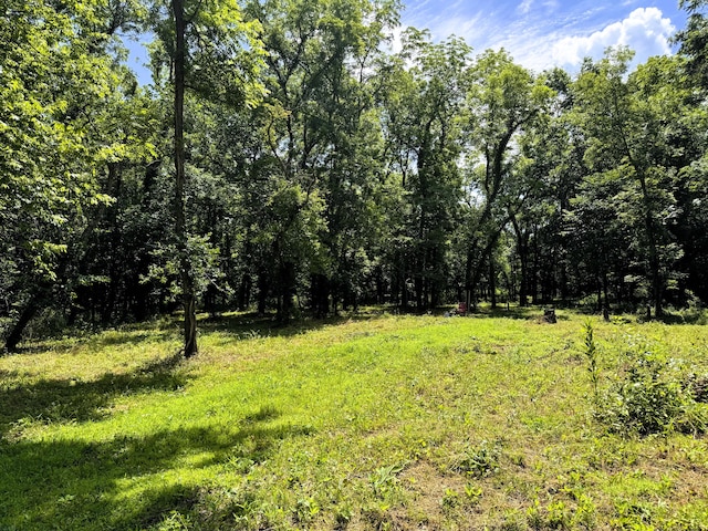 000 Wilderness Way, Anderson, MO 64831 - photo 6