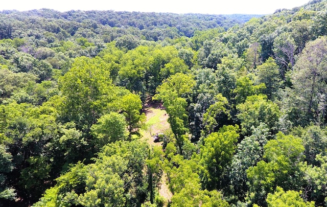 000 Wilderness Way, Anderson, MO 64831 - photo 2